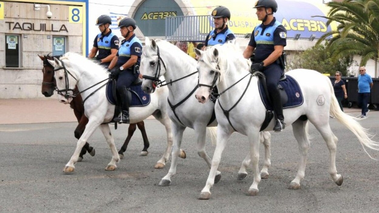 Los caballos conservan restos de sus cinco dedos ancestrales
