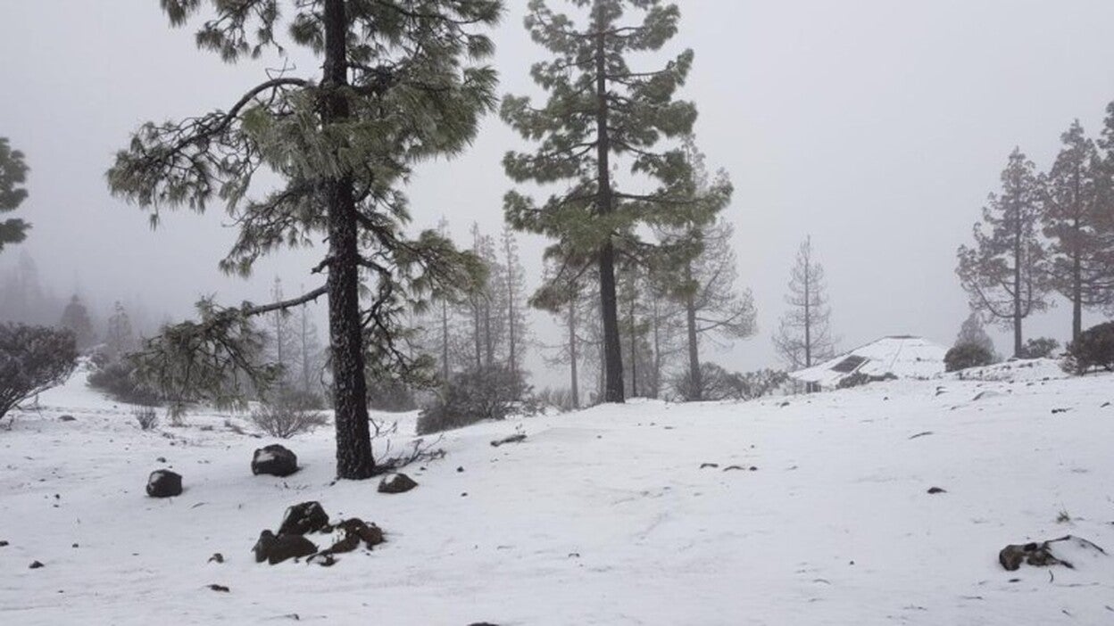 Abren algunos accesos