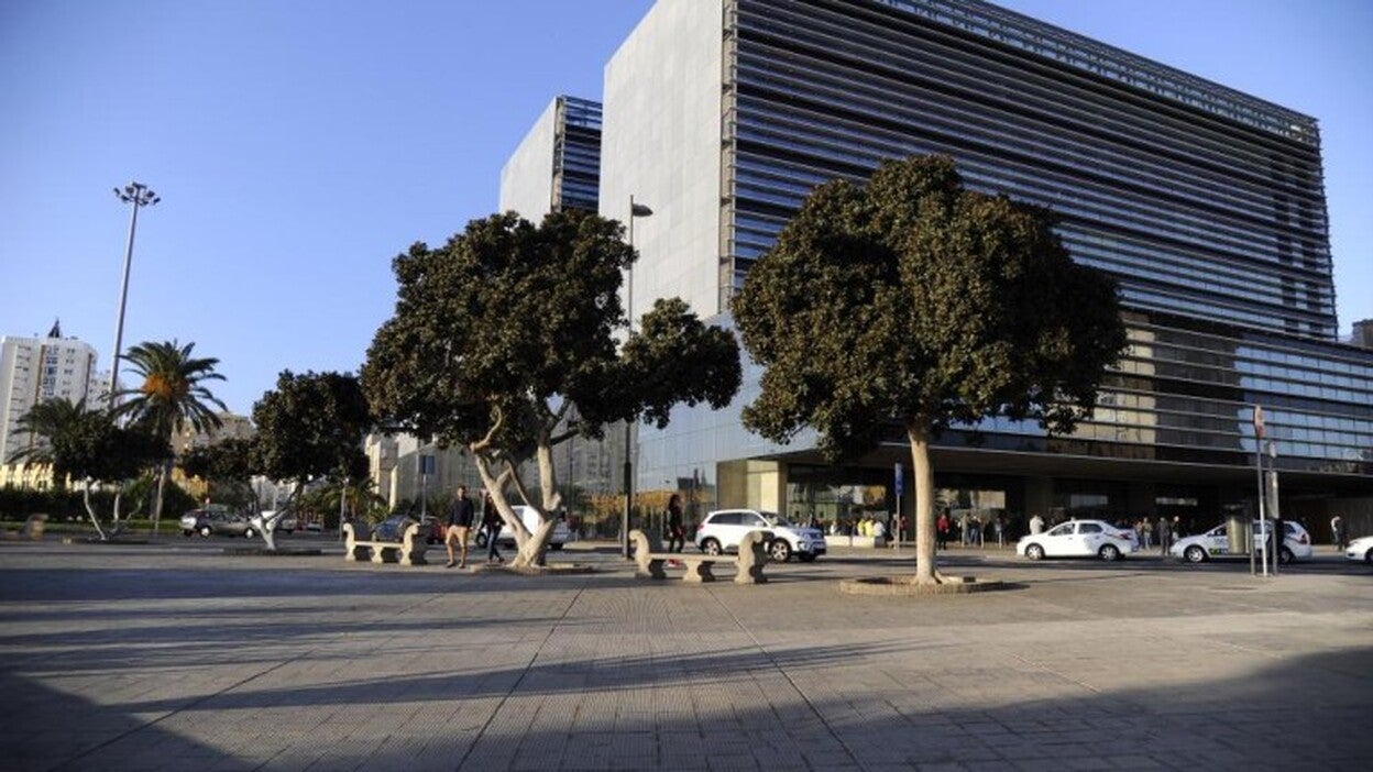 A juicio el médico y los cuatro falsos catatónicos