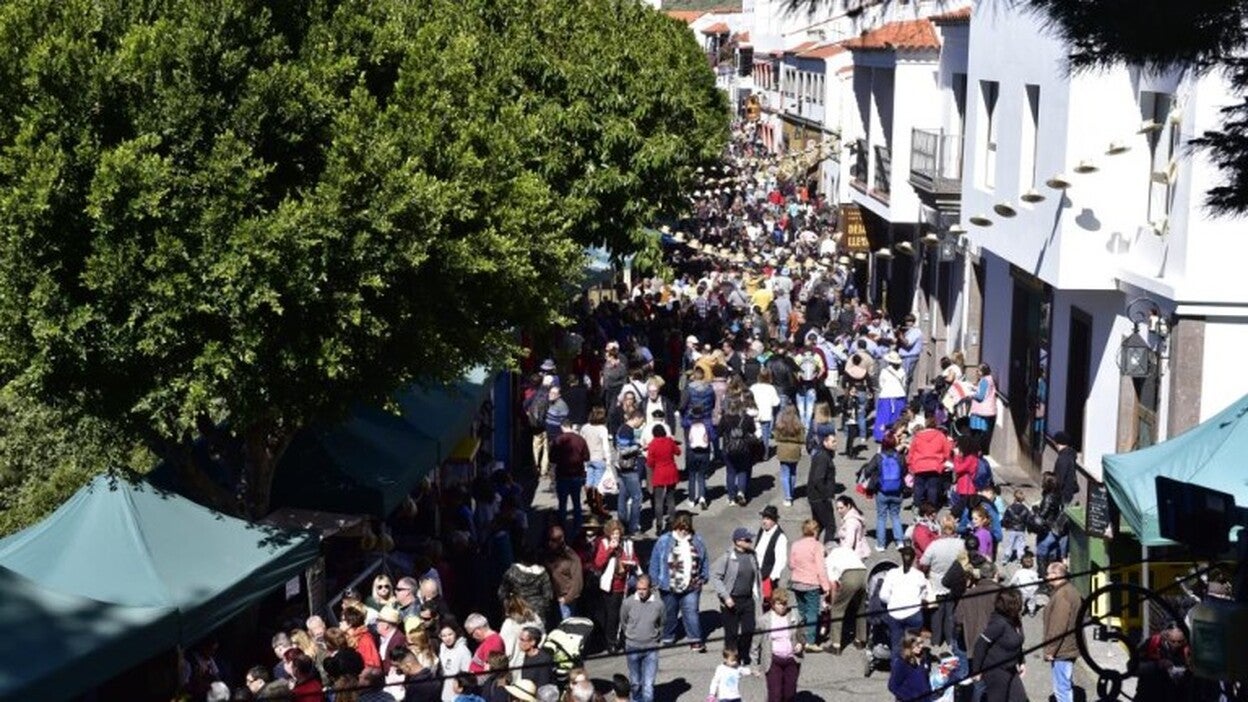 Tejeda se queda este año sin Fiesta del Almendro