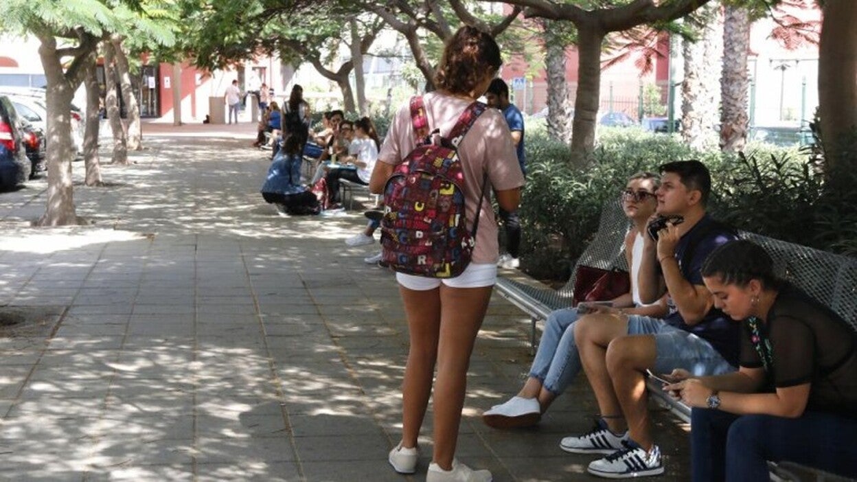 Los jóvenes canarios, en la cola española y europea de desarrollo