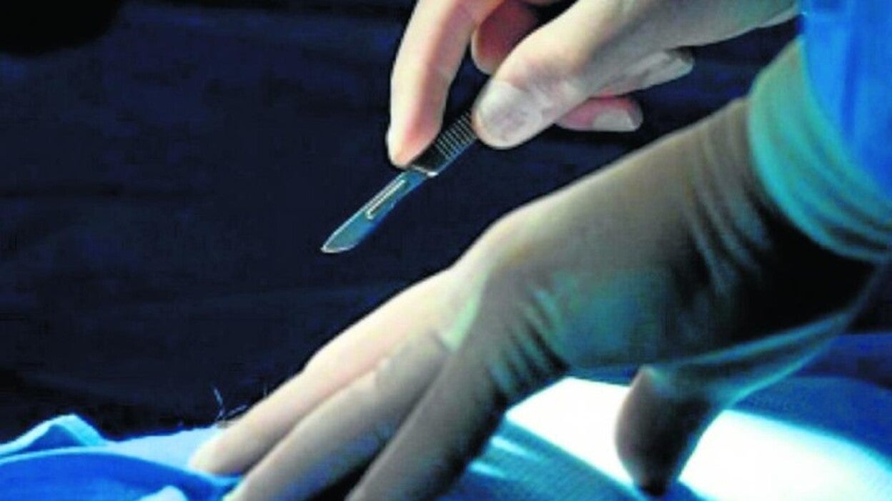 El donante vivo de riñón es mujer