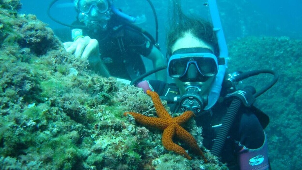 El Ejecutivo canario invierte 300.000 euros en el proyecto 'Ecoáreas Mar de Todos'