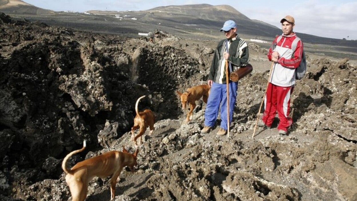 Entrenamiento de perros y aves de caza