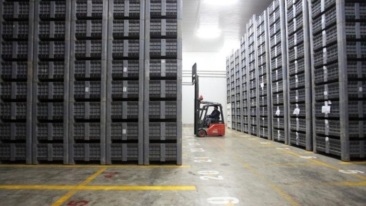 El déficit comercial aumenta un 25,5% en enero a pesar de un nuevo récord en exportaciones