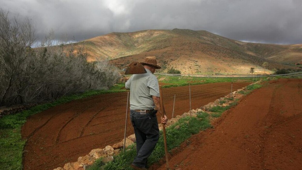 Los agricultores canarios reciben 88,5 millones del Feaga hasta el 28 febrero