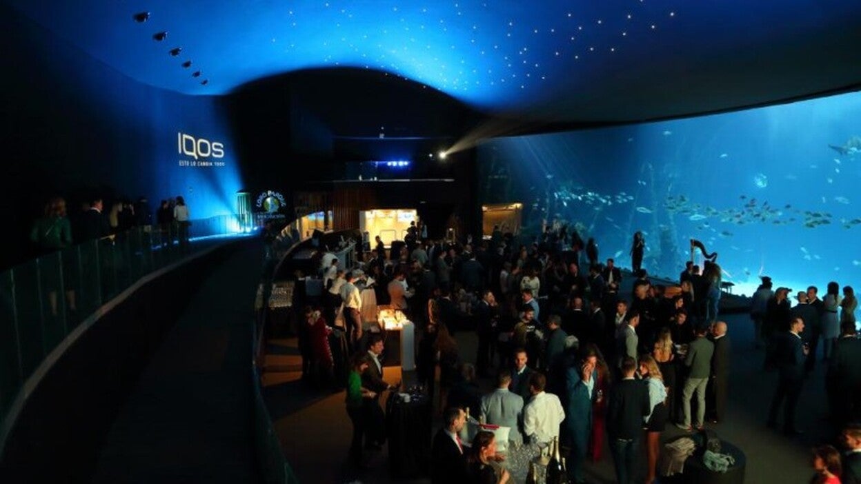 Noche inigualable de la mano de IQOS Club