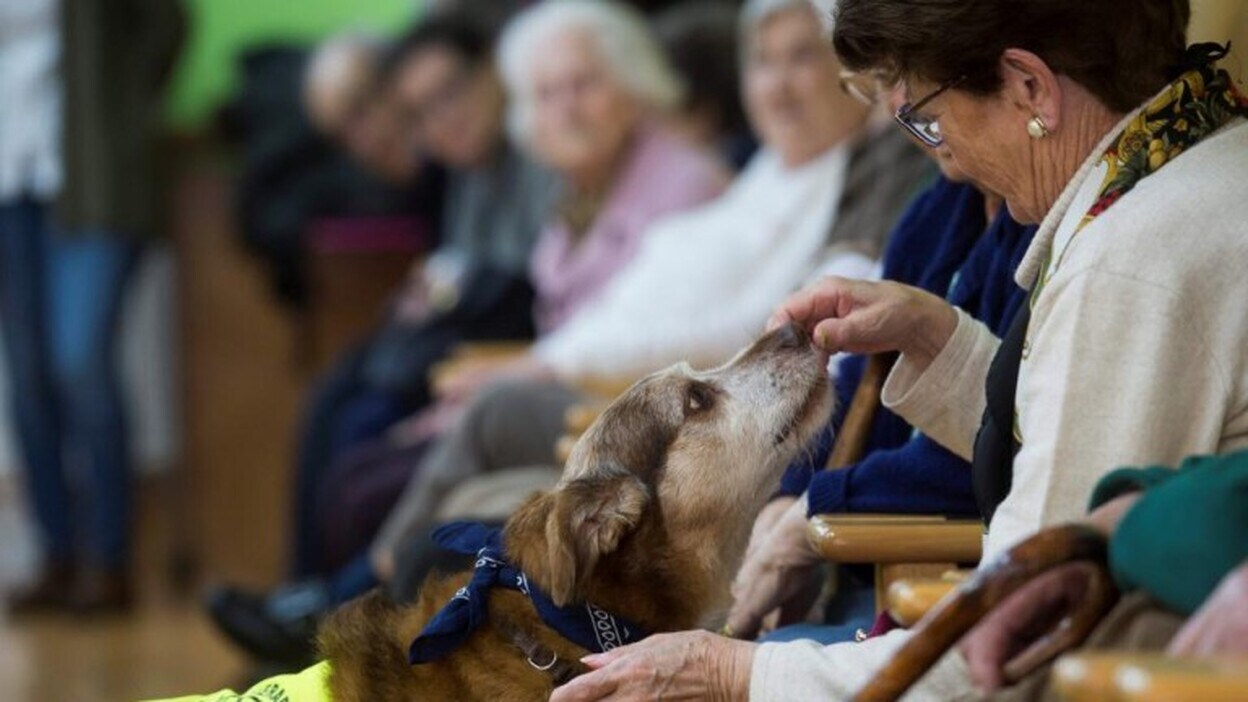 Miko, la mejor terapia para los mayores