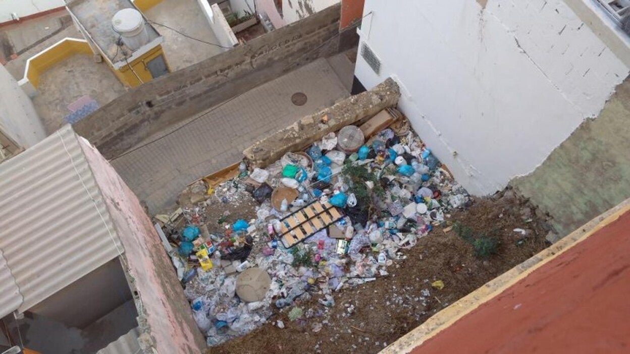 «Los gatos huyen de las ratas»