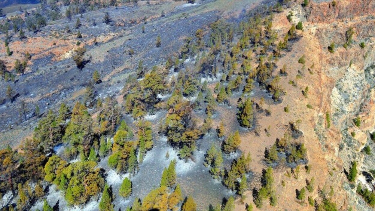Controlado el incendio de Granadilla