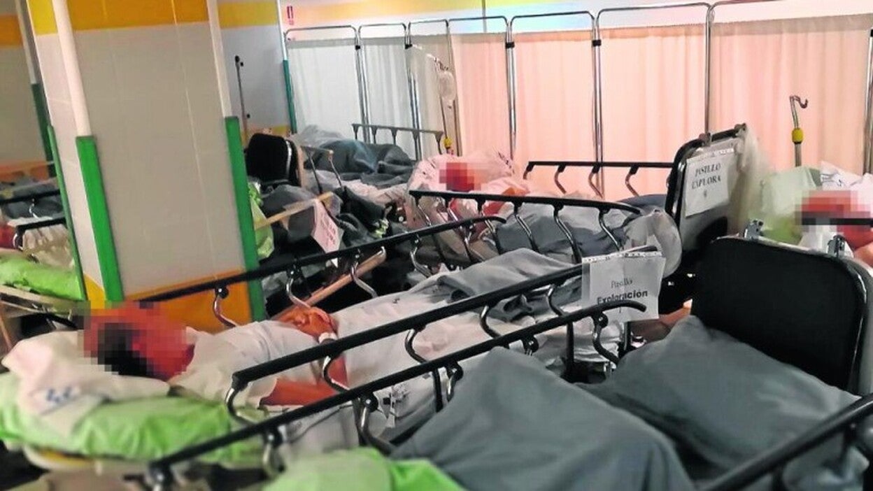 «Nadie quiere ayudar a mi hija»