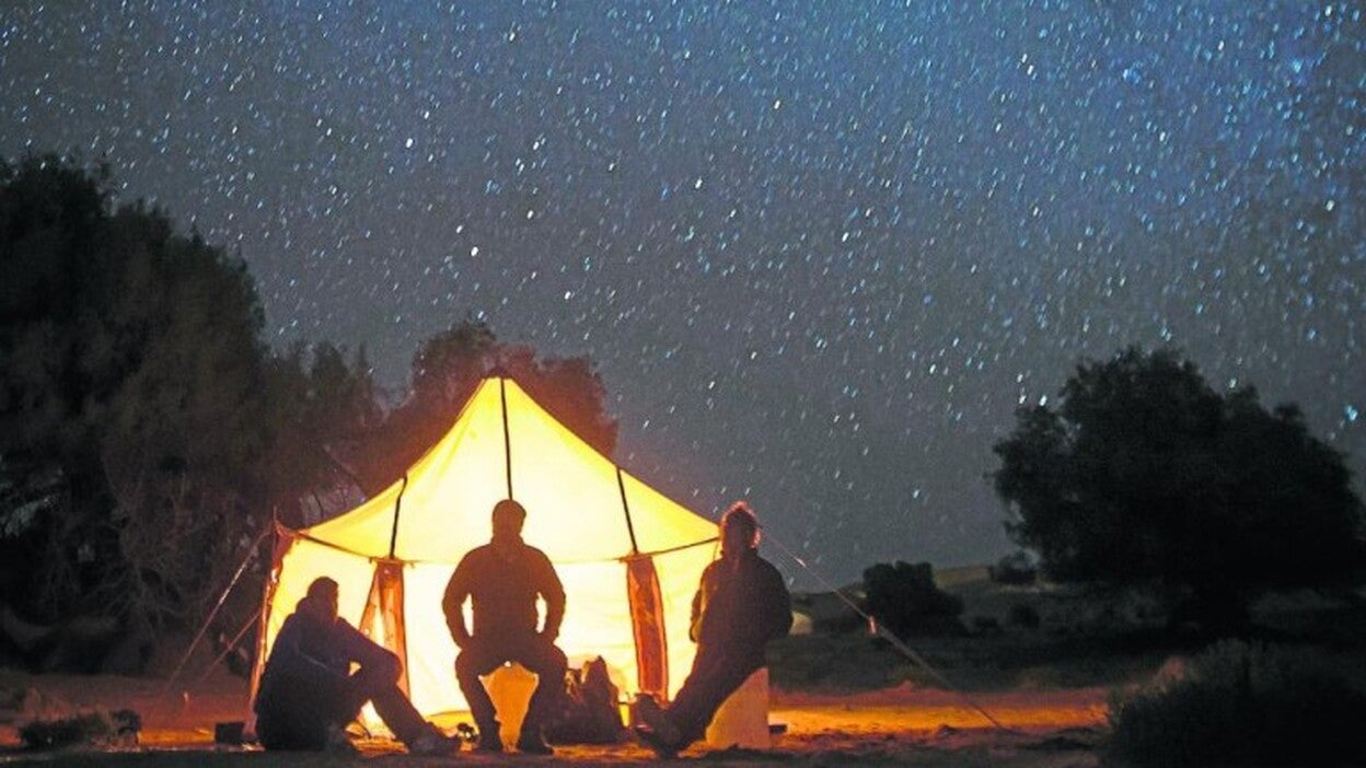 Viaje con Nico esta noche en el Arena