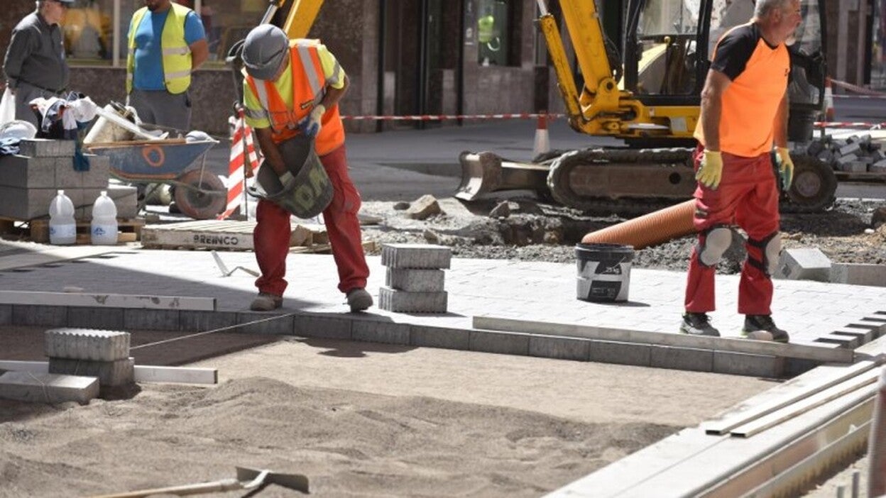 La MetroGuagua no requiere de evaluación ambiental
