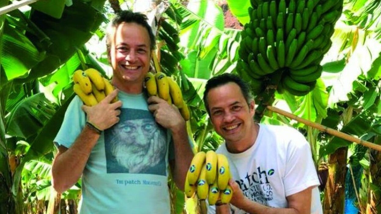 El plátano de Canarias en la cocina