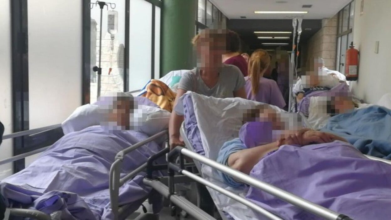 Las diez miserias con acento canario