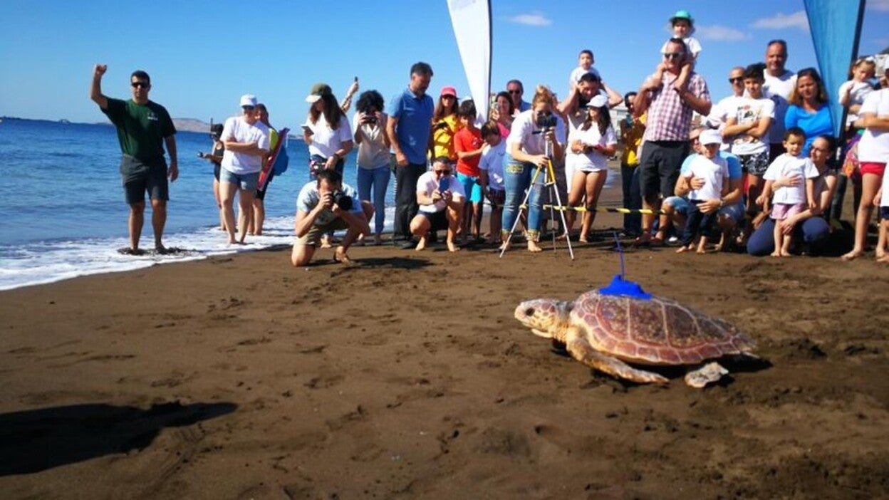 ‘Sardina’ vuelve al mar gracias al Cabildo y Disa