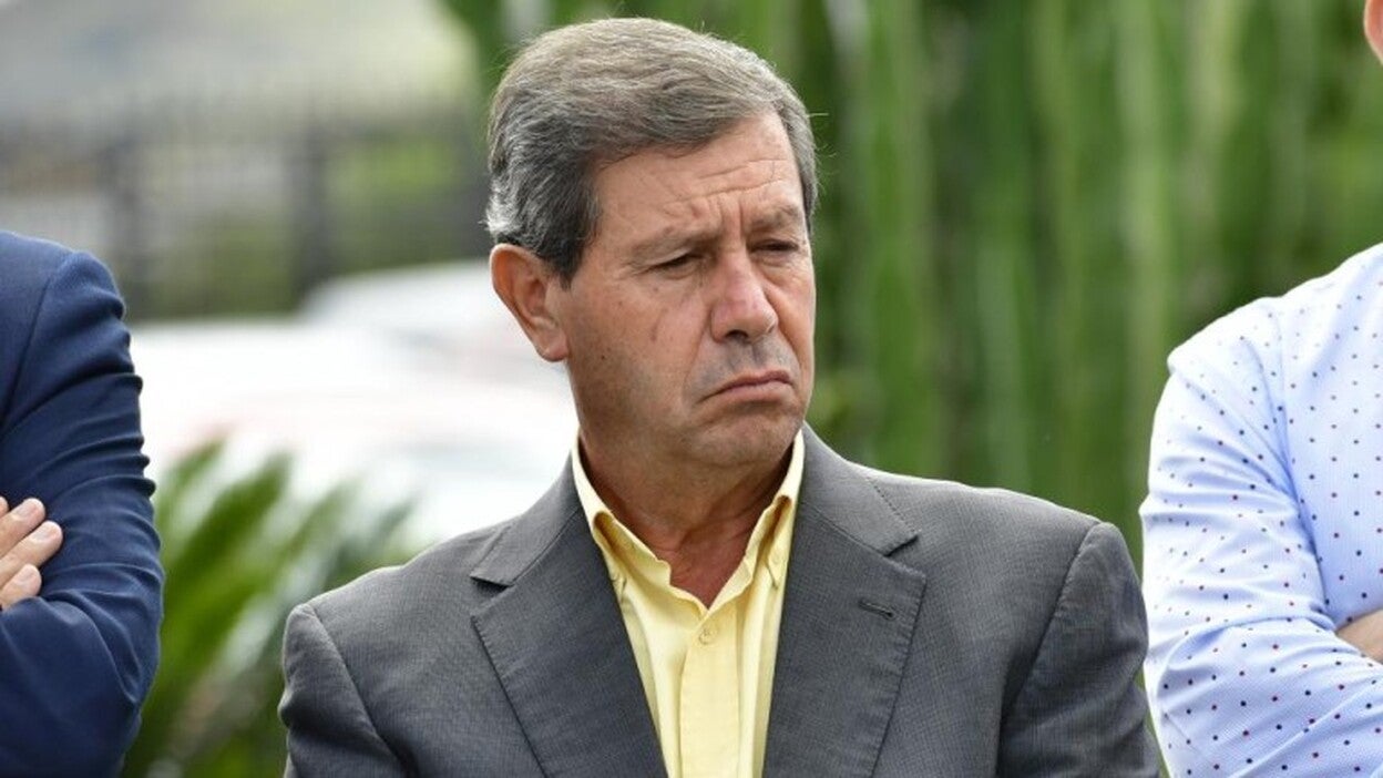 El alcalde de Tejeda asegura que los árboles "no se talarán, se trasladarán"