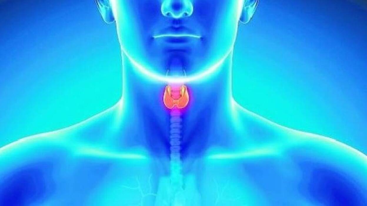 Cáncer de tiroides, nuevo tratamiento con una hormona creada por ingeniería genética