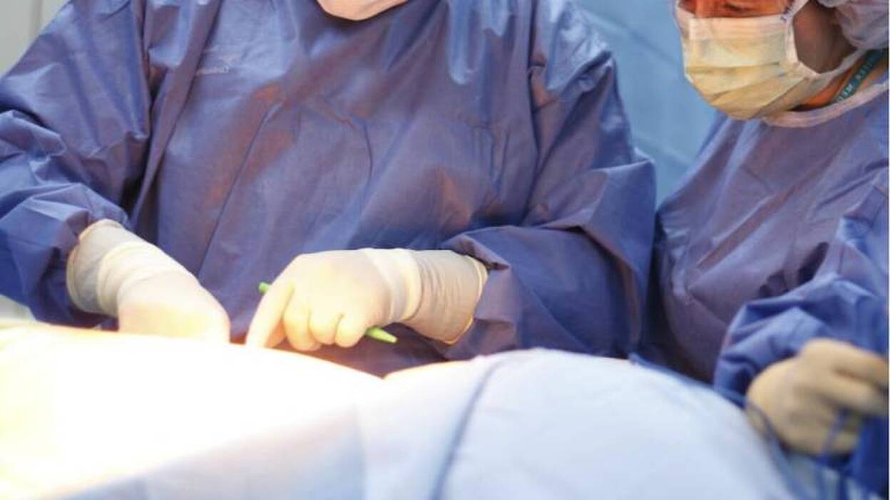 Un hígado similar al humano a partir de células madre