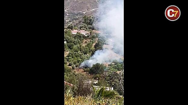 Nuevo conato de incendio en Risco Blanco