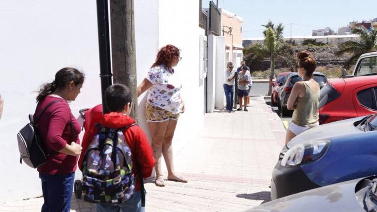 La palmera que mató al niño fue revisada en diciembre