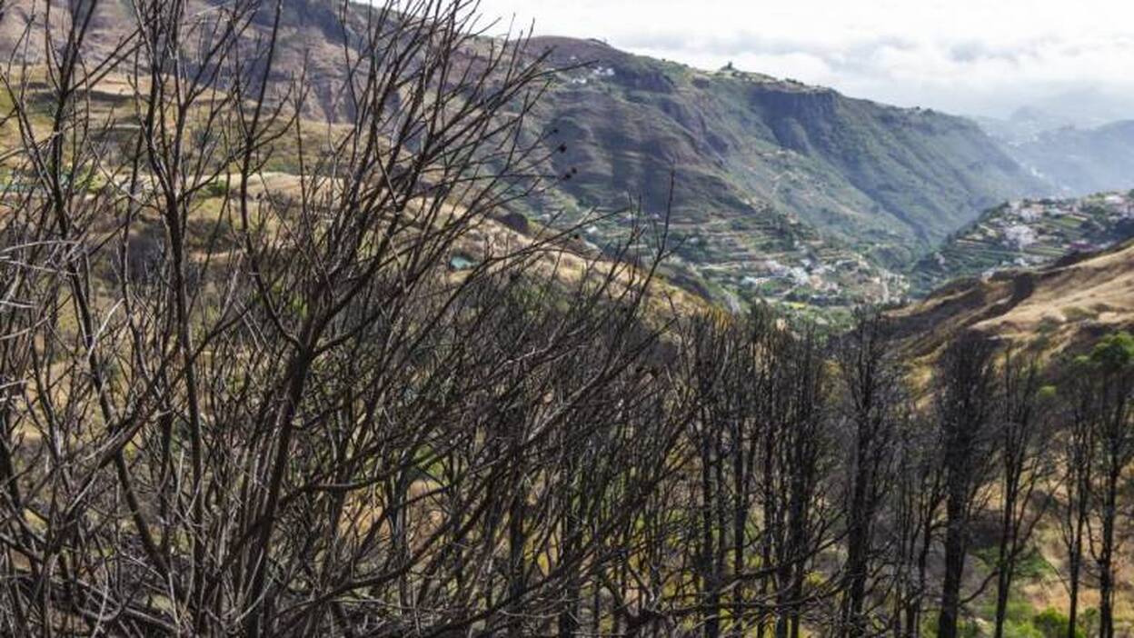 Primeros conatos: La amenaza de los pirómanos