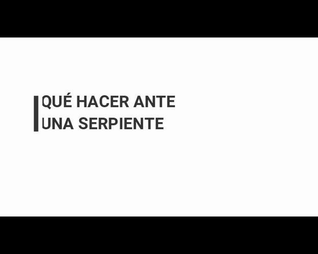 Qué hacer ante una serpiente