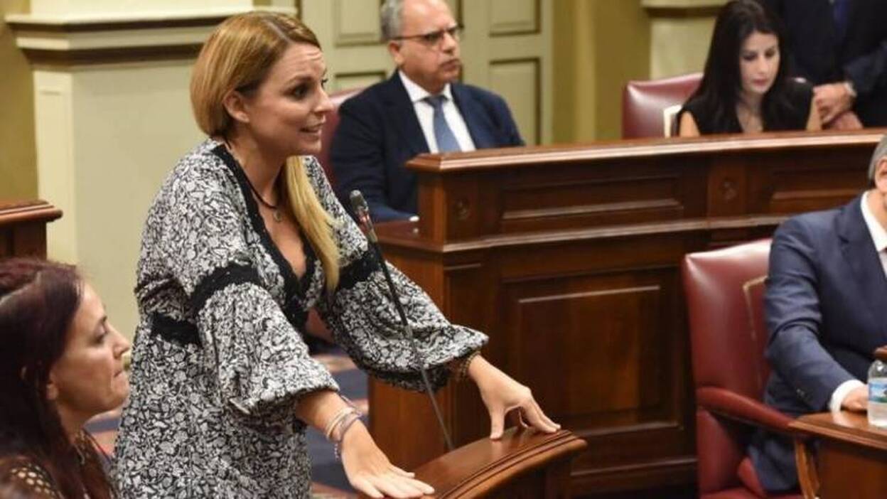 Podemos registra 21 iniciativas parlamentarias