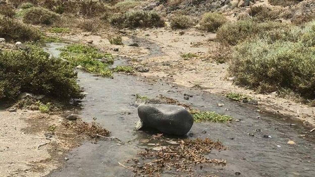Vinculan el vertido en El Médano a una sobrecarga de la canalización