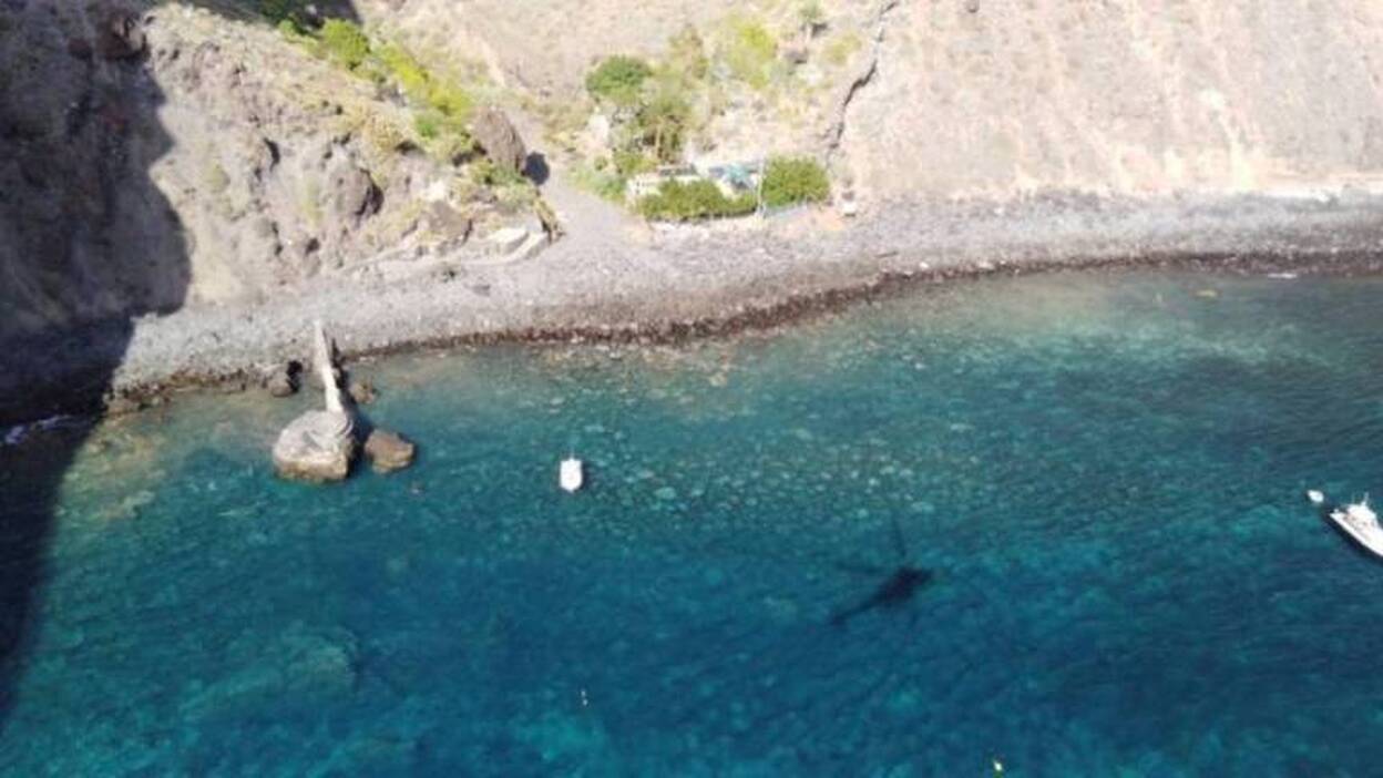 Limpian dos grandes manchas de microalgas en Tenerife