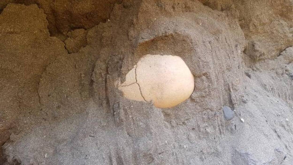 El Ayuntamiento da el permiso para desenterrar a Tadeo en Juan Rejón