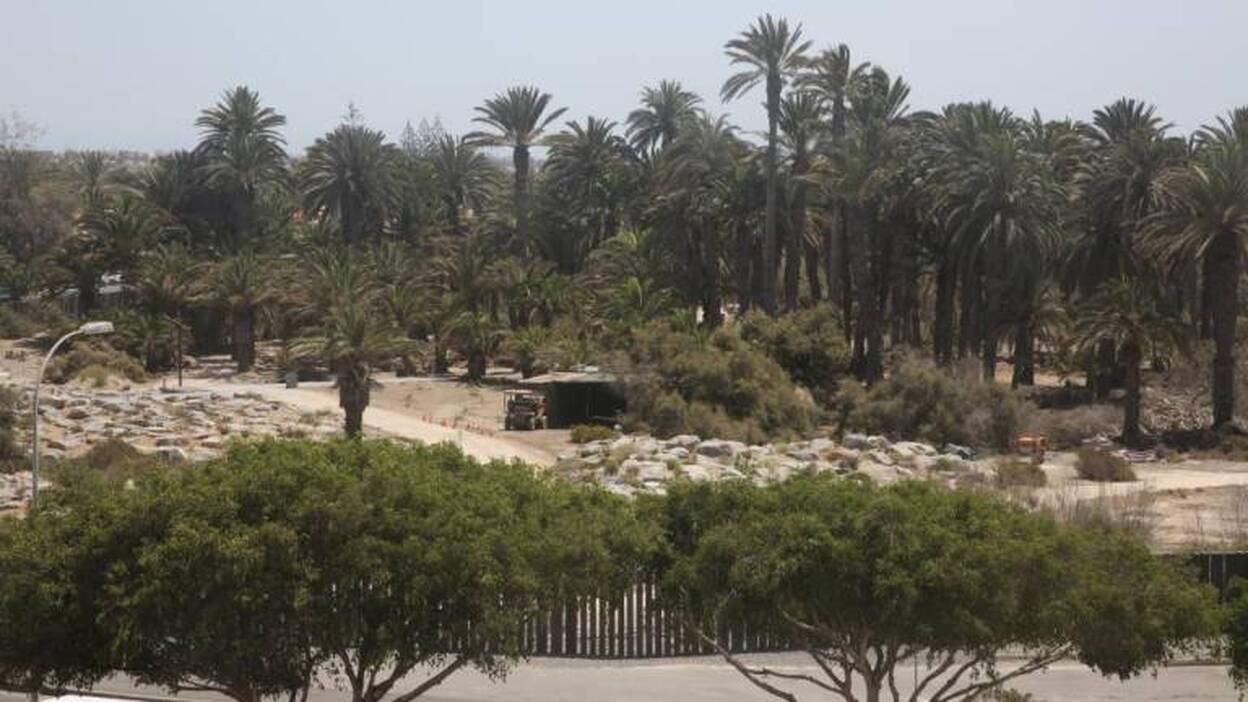 El parque Tony Gallardo está a punto, pero queda resolver la gestión