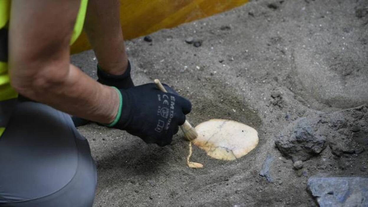 Aparecen nuevos restos en Juan Rejón