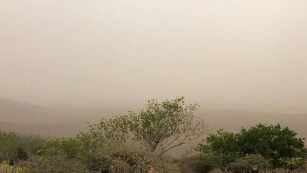 Activado el nivel amarillo en Gran Canaria por polvo en suspensión