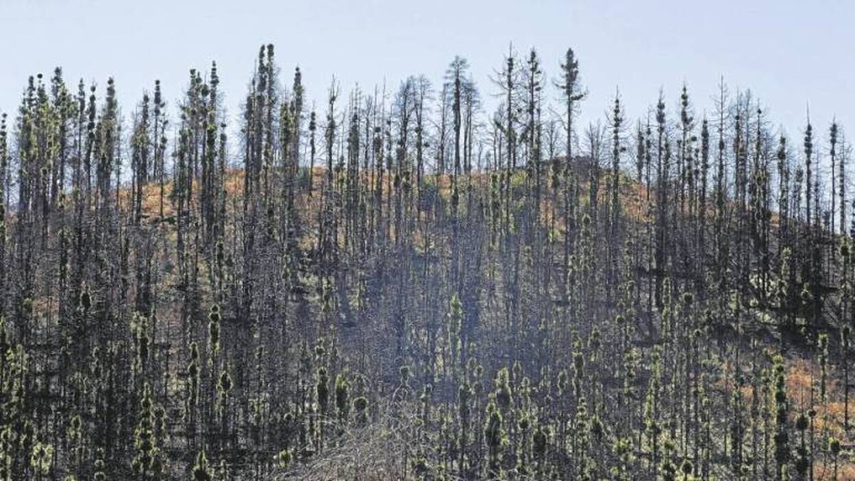 Las heridas siguen abiertas un año después