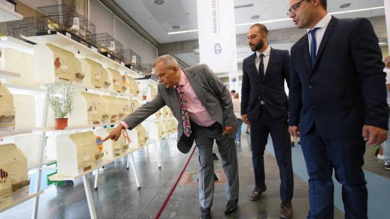 3.000 pájaros en el concurso ornitológico de Tenerife