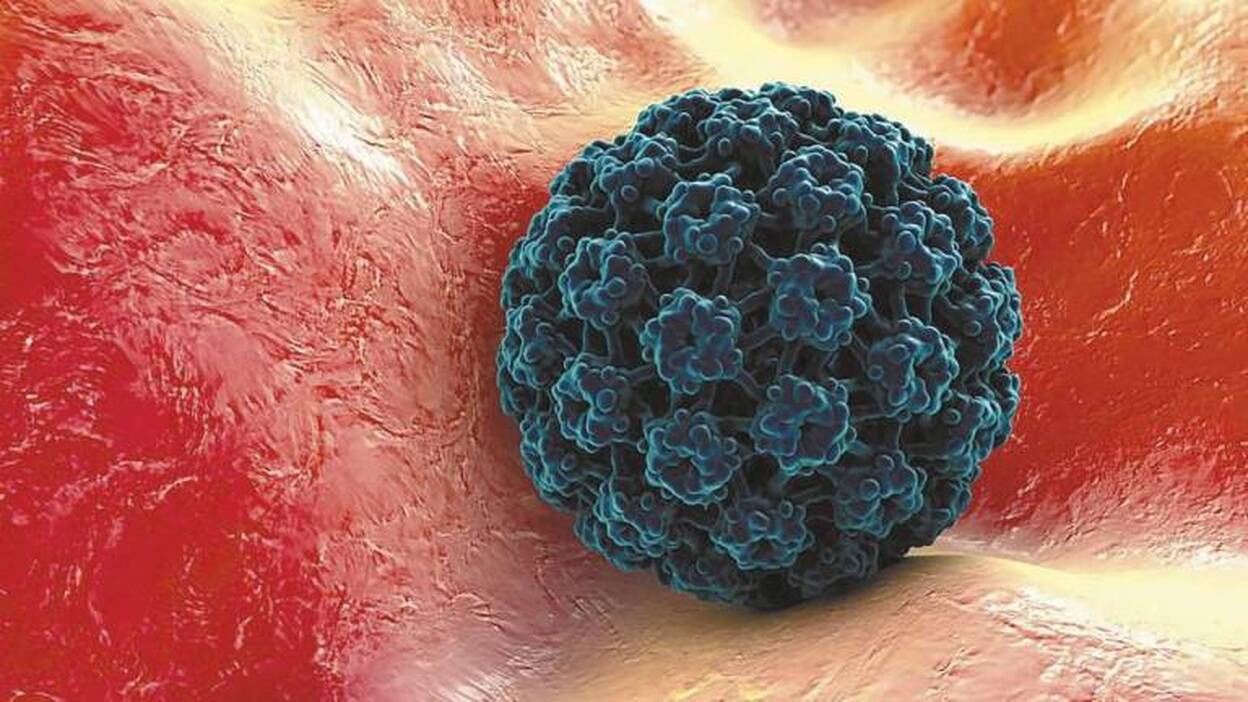 El virus del papiloma humano
