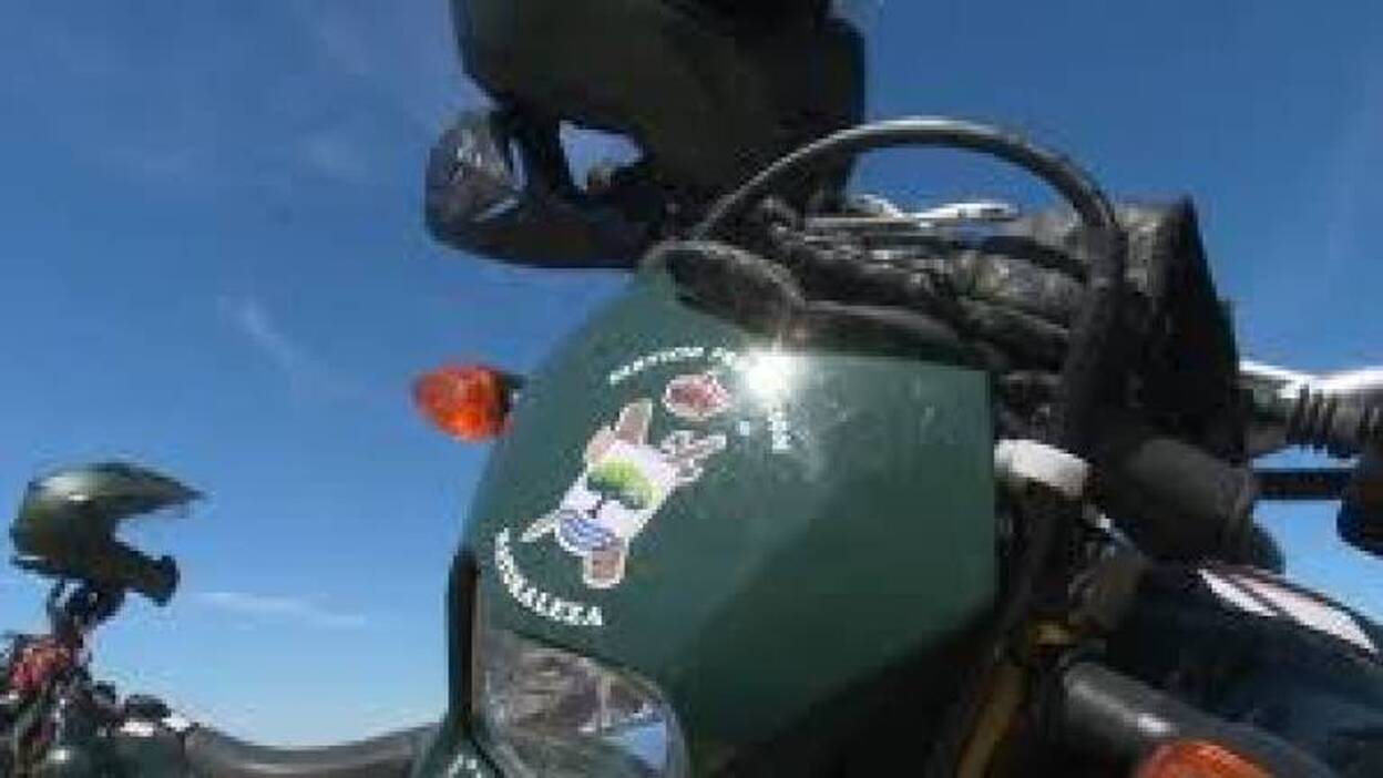 Pillan a un cazador con licencia de armas falsa