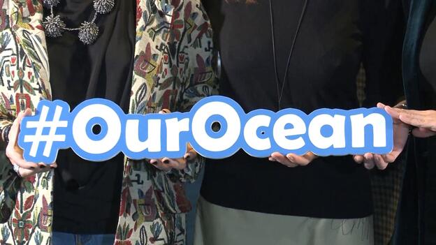 Ana Belén se une al Oceanogràfic para luchar contra la basura marina