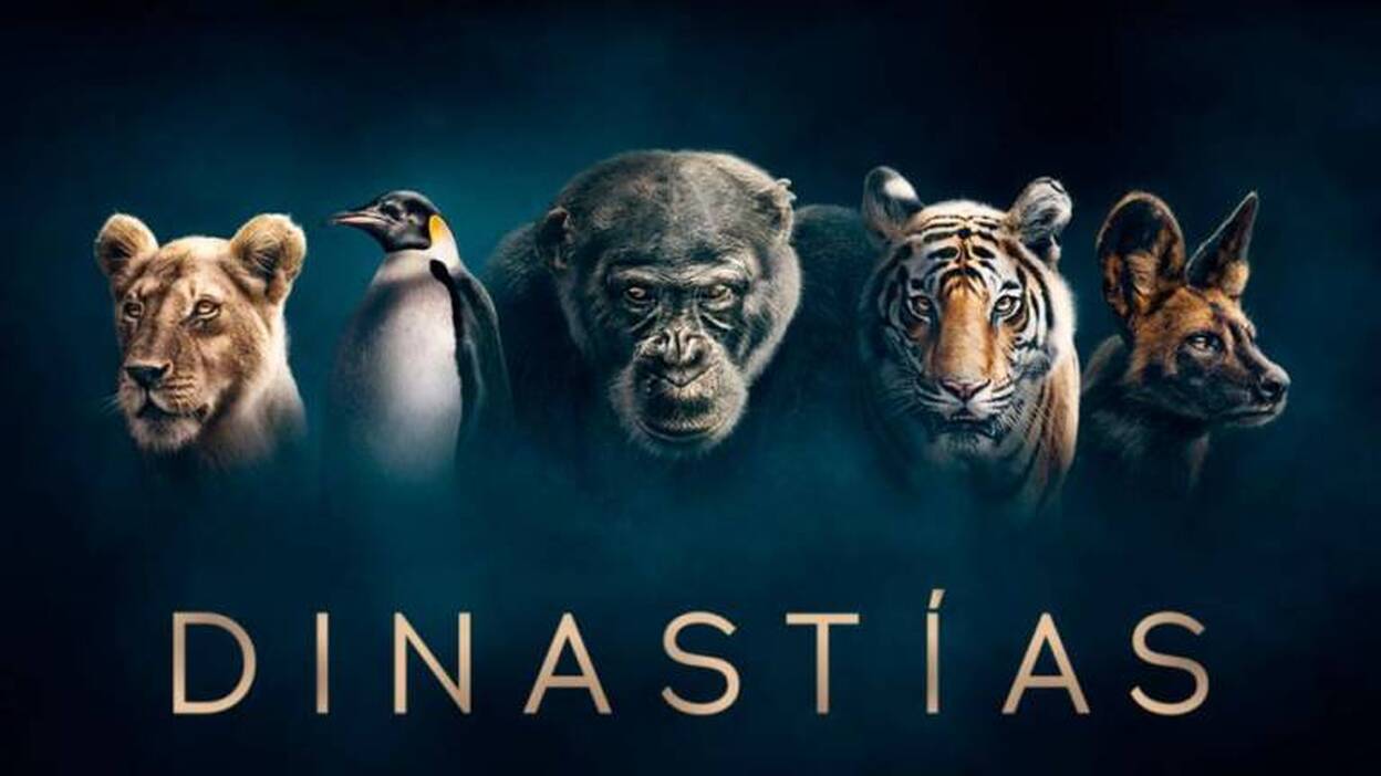 Lo que hay que ver hoy en televisión