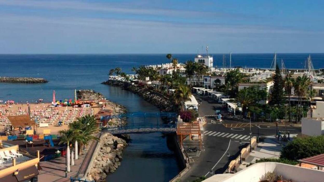 Investigado por desobediencia y maltrato animal