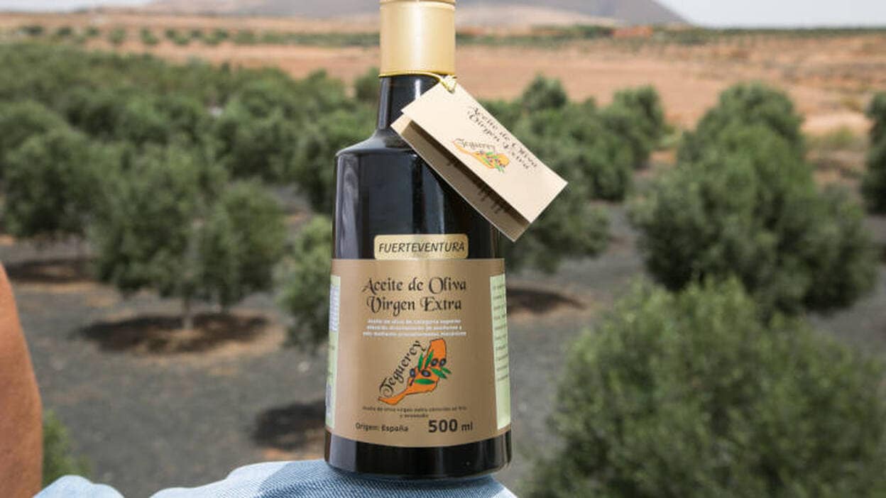 Un aceite de oliva virgen extra de Fuerteventura, el mejor de Canarias