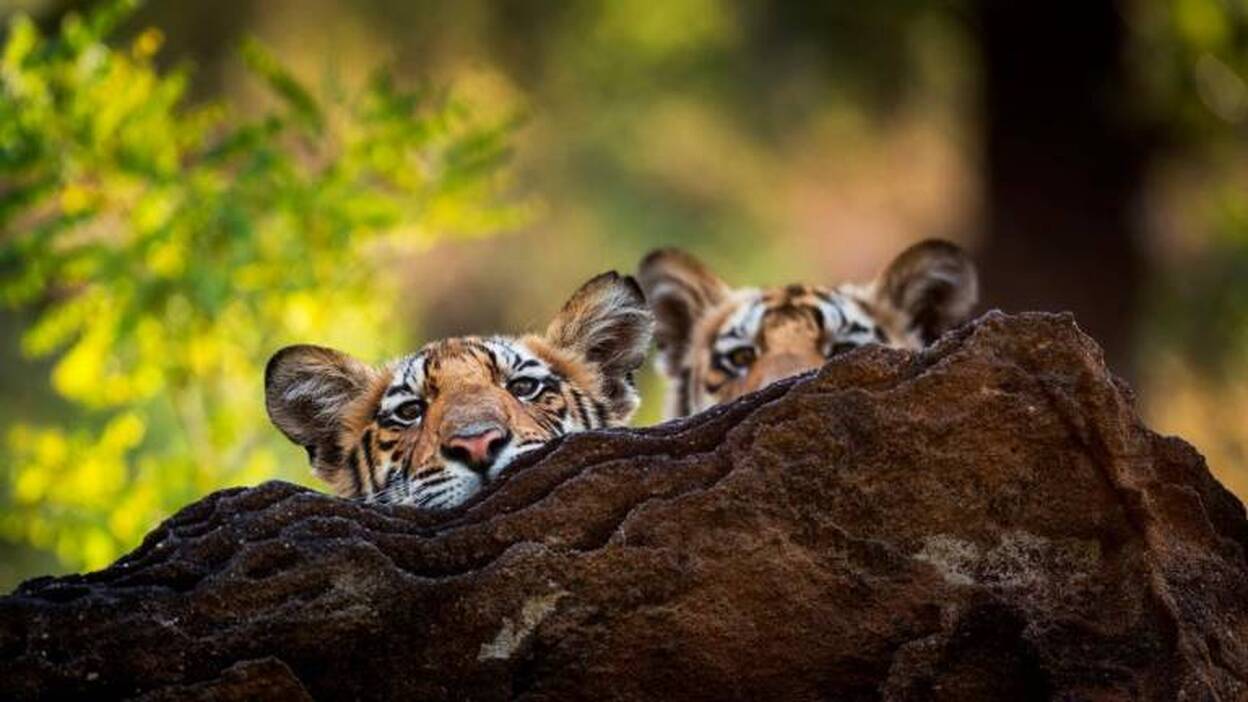 Lo mejor  de la programación del día