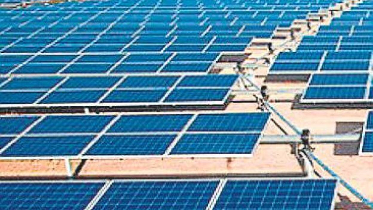 La Rosa: una planta de 20.000 módulos