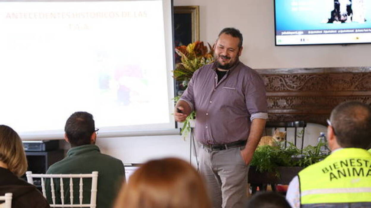 Los expertos aseguran que los animales mejoran la calidad de vida