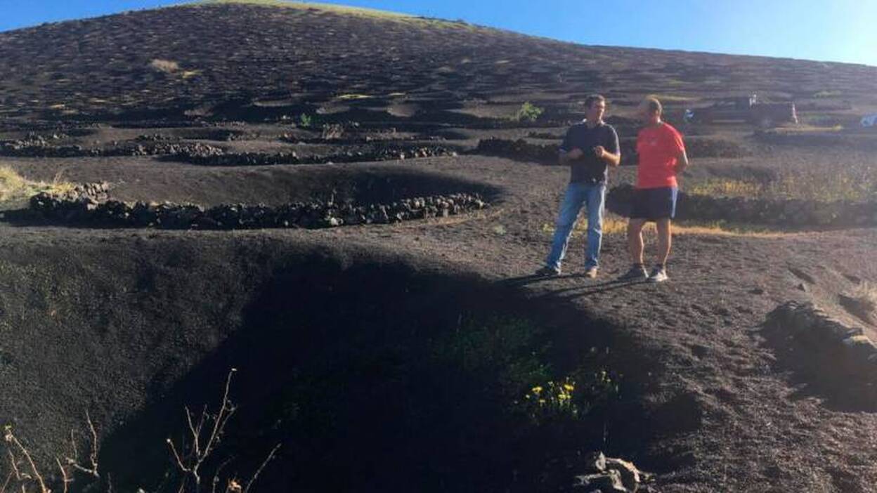 Una apuesta real por La Geria