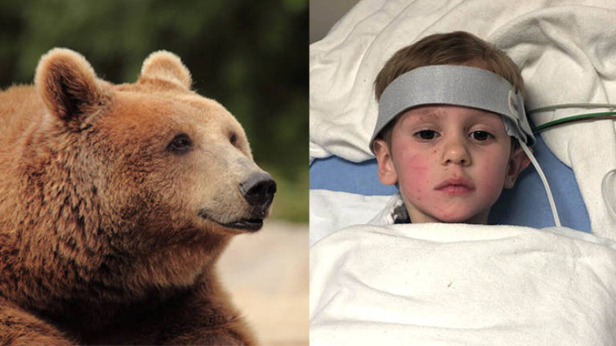 Un niño perdido en el bosque dos días dice que pasó todo el tiempo con un oso