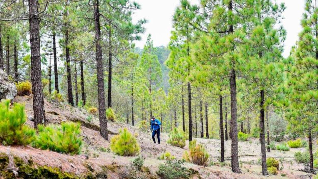 Transgrancanaria 2019: Una aventura llena de entrega