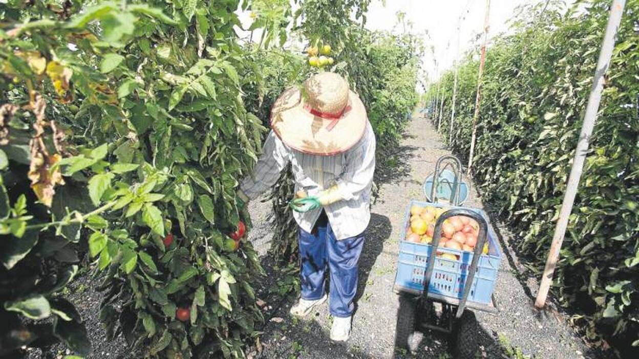 CC OO denuncia «artimañas para no subir el salario mínimo»