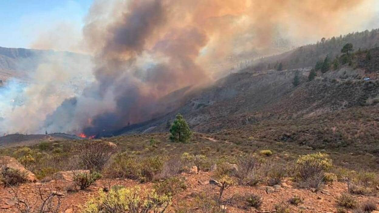 Imágenes del incendio en Fataga